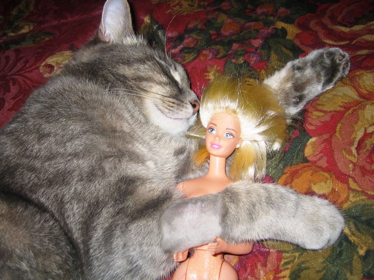 cat-barbie