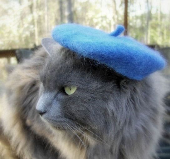 cat-beret