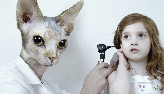 cat-doctor