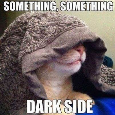 cat-jedi