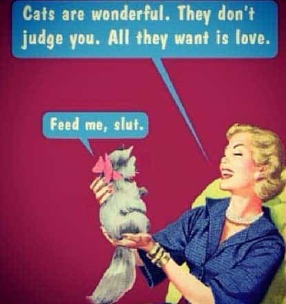 cat-owners