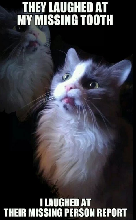 cat-tooth-meme