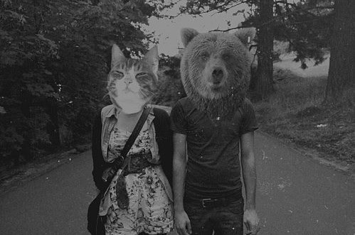 cat art weird