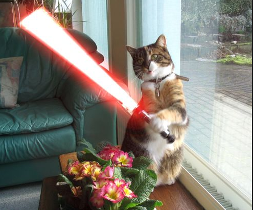 cat lightsaber