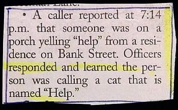cat police blotter