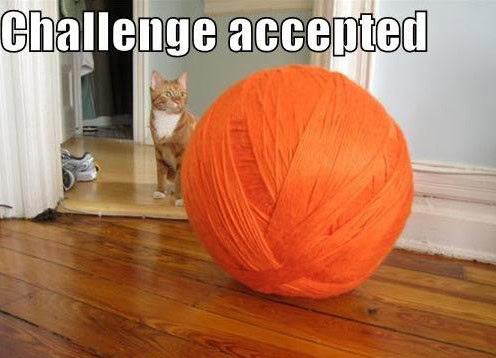 challenge accepted how i met your mother