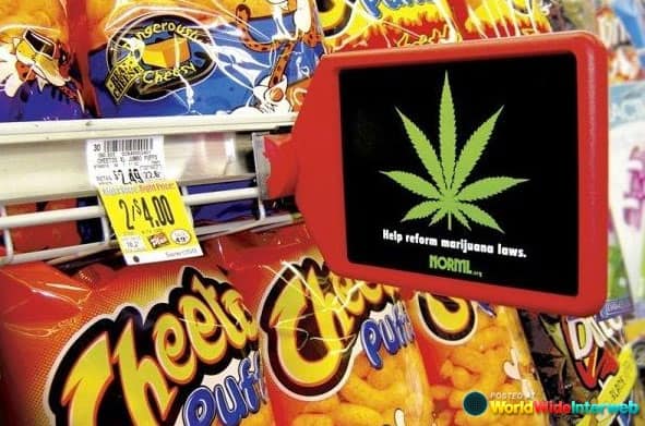 cheetos-legalize