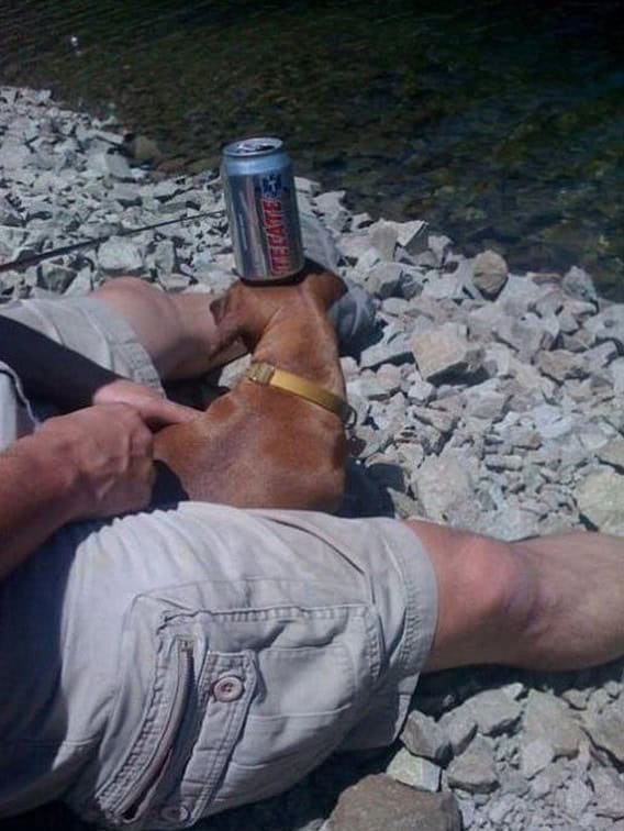 coaster dog