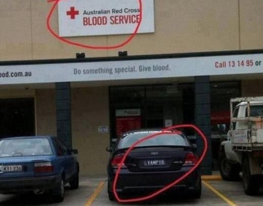 coincidence license plate