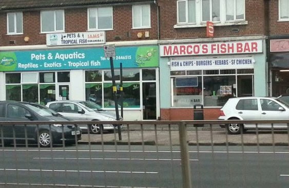 coincidence stores