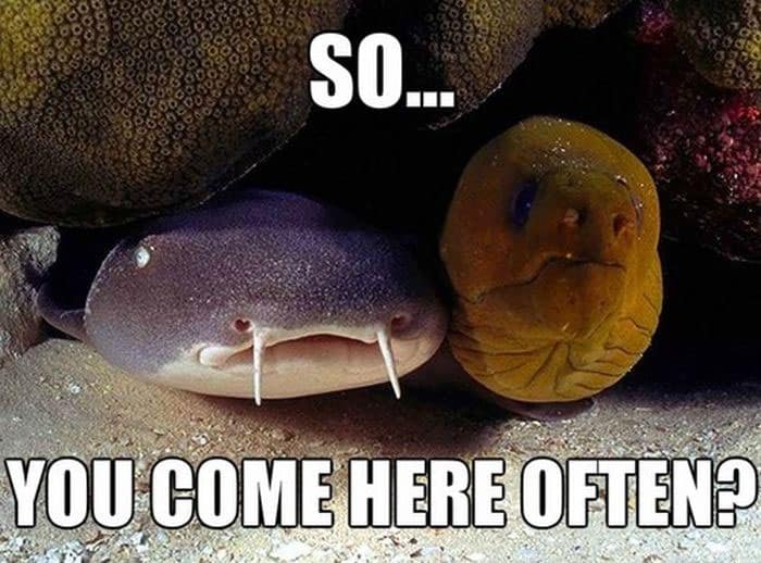 come-here-often