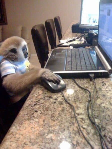 computer-monkey