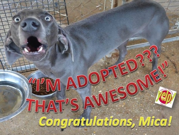 congratulations