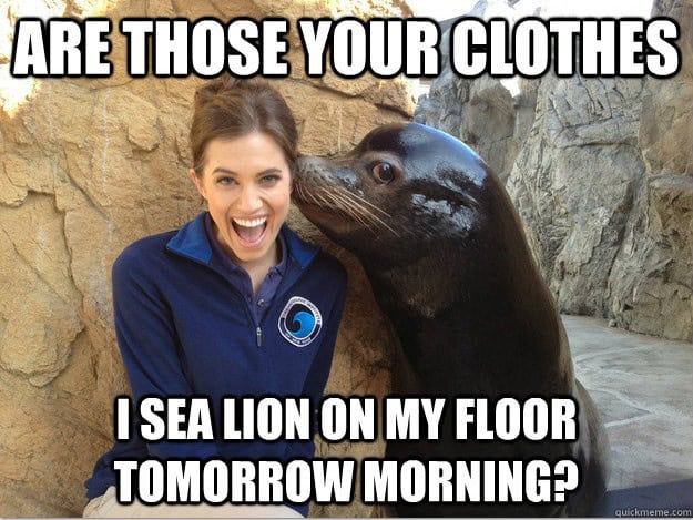 crazy secret sea lion memes