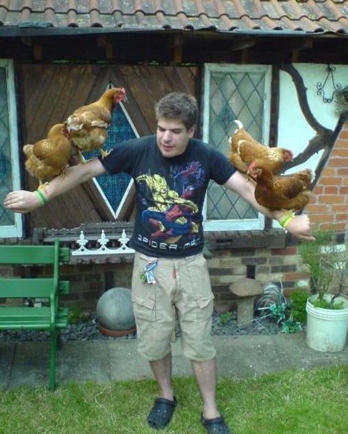 crocs chicken man