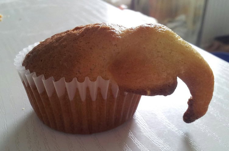 cupcake elephant