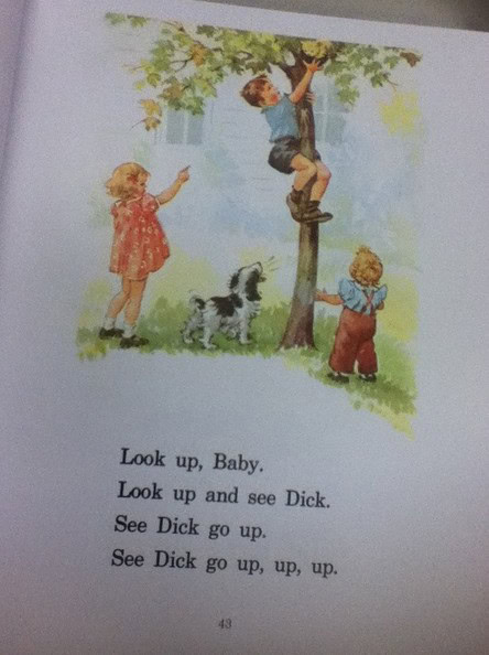 dick jane fail