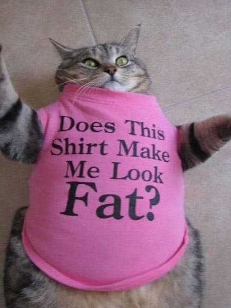 does-this-shirt-make-me-look-fat
