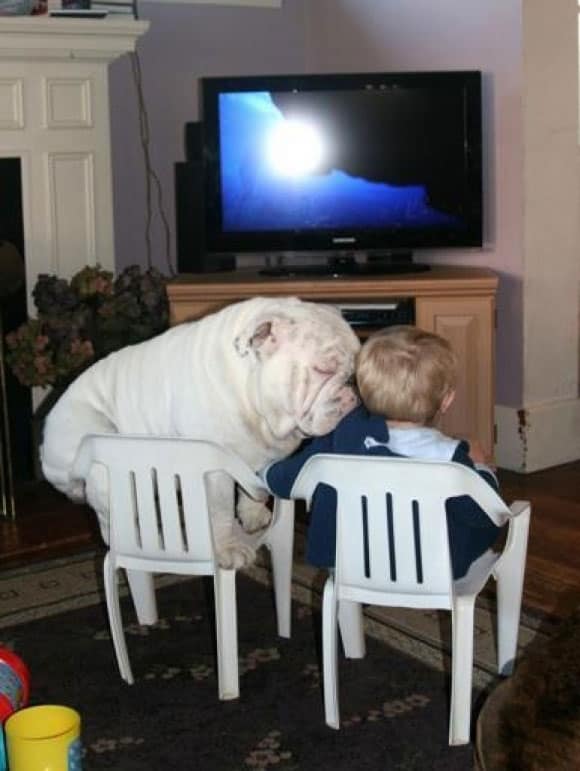 dog-kid-sleep