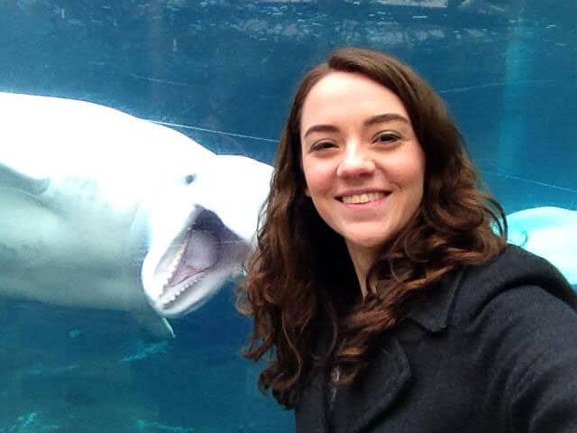 dolphin-photobomb