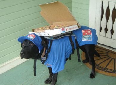 dominos pizza delivery guy