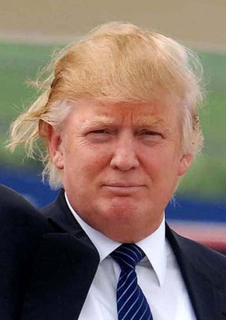 donald trump hair