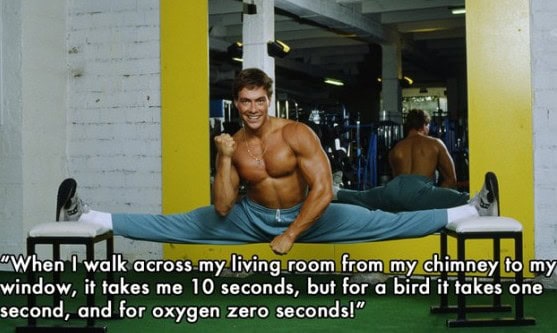 dumbest van damme quotes
