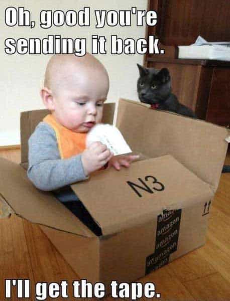 evil-cat