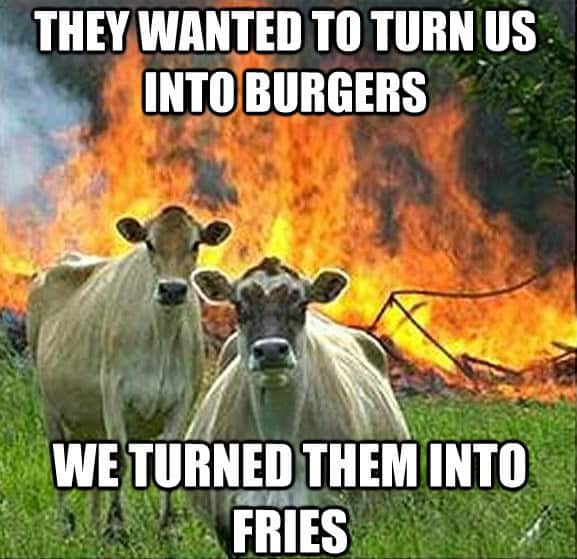 evil cows meme