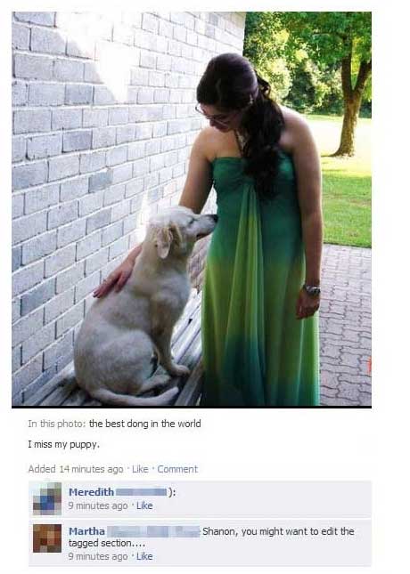 facebook-dog