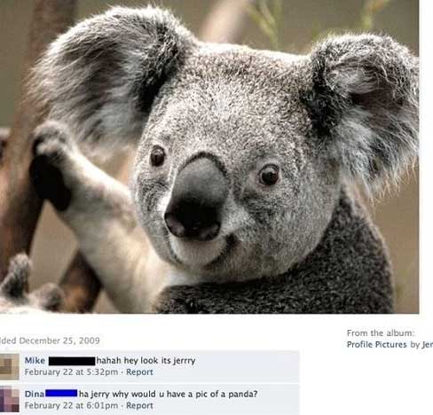 facebook-dumb