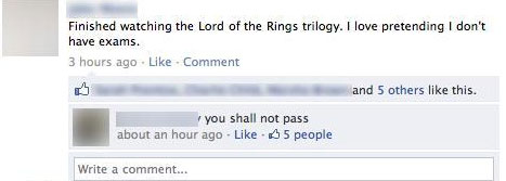 facebook-idiot