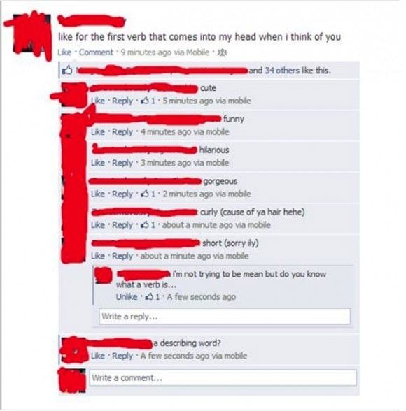 facebook-idiots