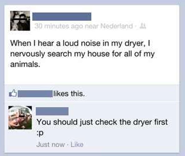 facebook-stupid