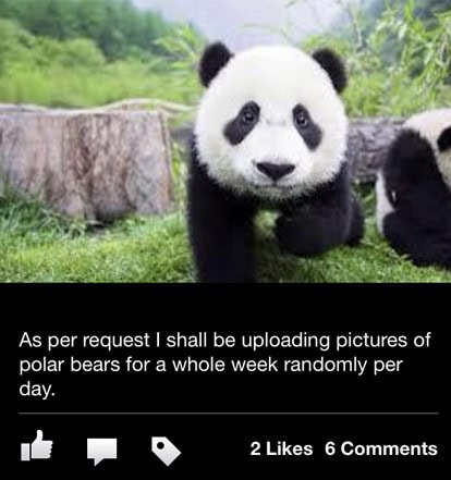 facebook best fails 2013
