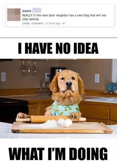 facebook dog