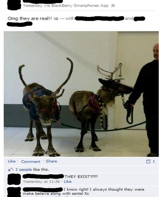 facebook reindeer