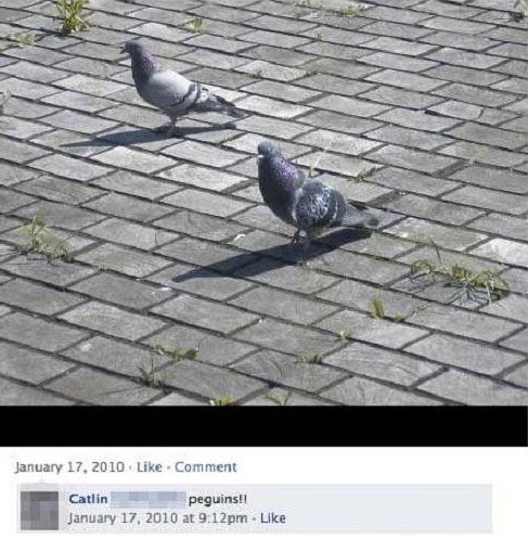 failbook best