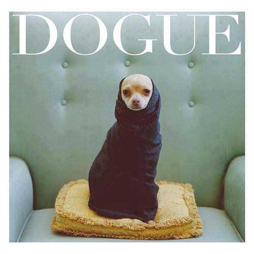 fake-dog-magazine