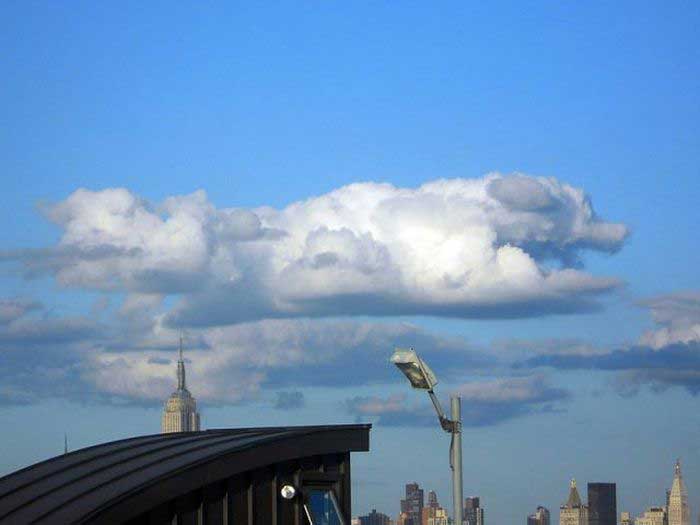 falcor