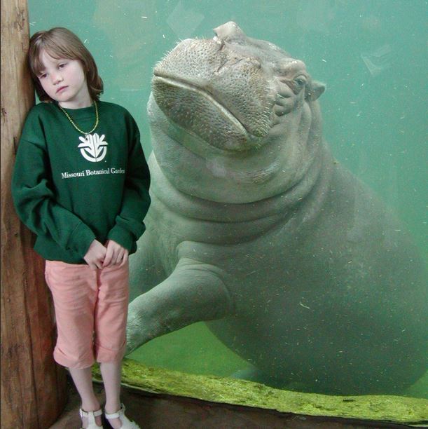 finding your spirit animal