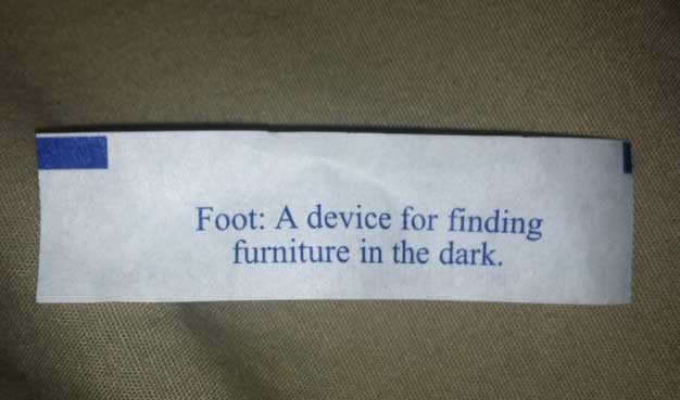 fortune-cookie-cleaver