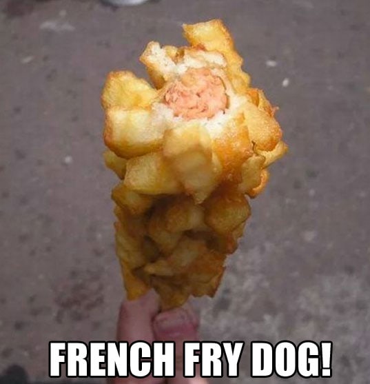 french-fry-dog