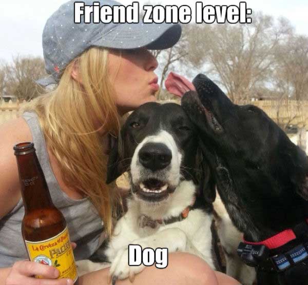 friendzone-dog