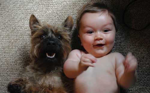 funniest-baby-dog-photos