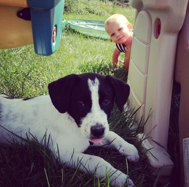 funniest baby photobombs
