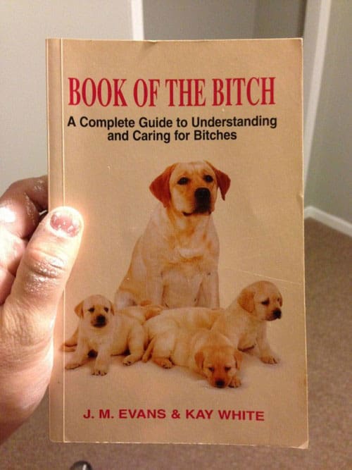 funny-dog-book