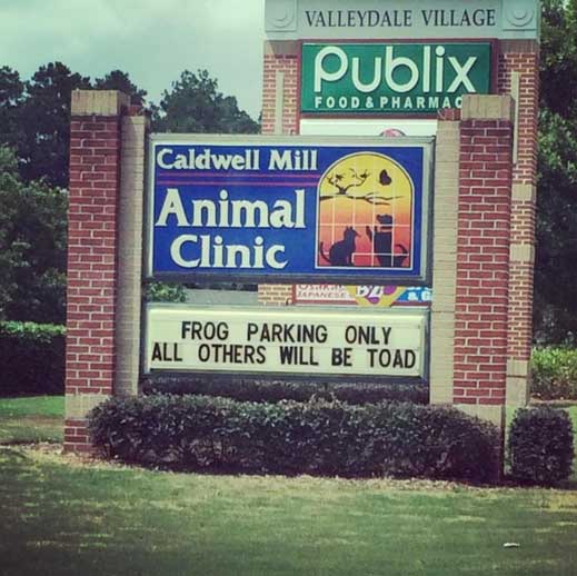 funny-vet-pun