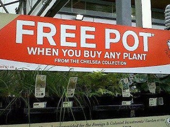 funny home depot photos