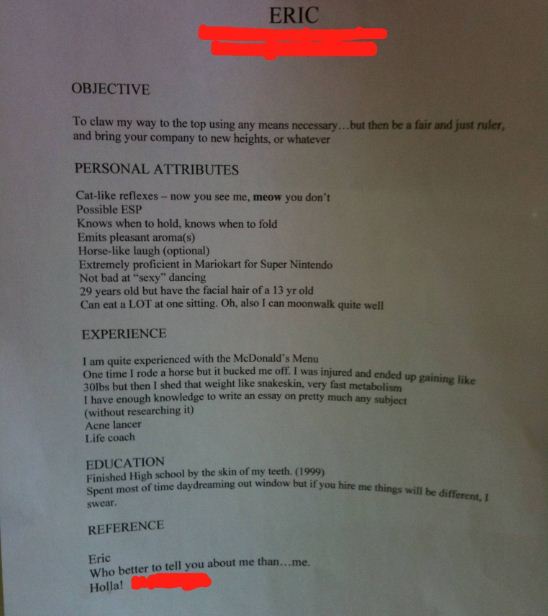 funny job resume